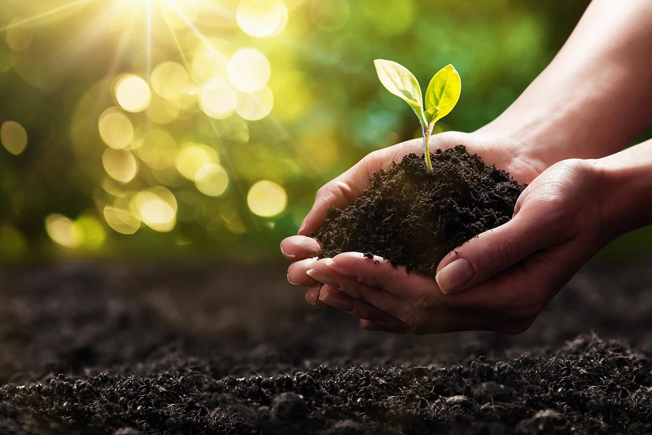 organic-gardening-the-clean-method