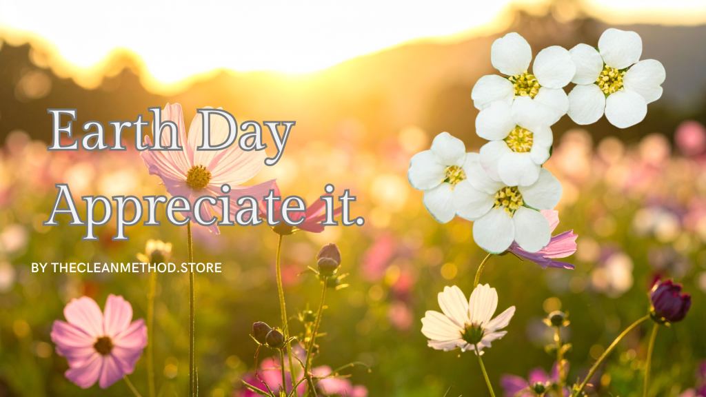 A field of colorful wildflowers with a sunrise in the background, featuring the text 'Earth Day Appreciate it.'